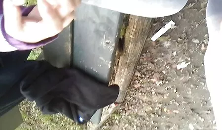 Starker pornobilder  ...